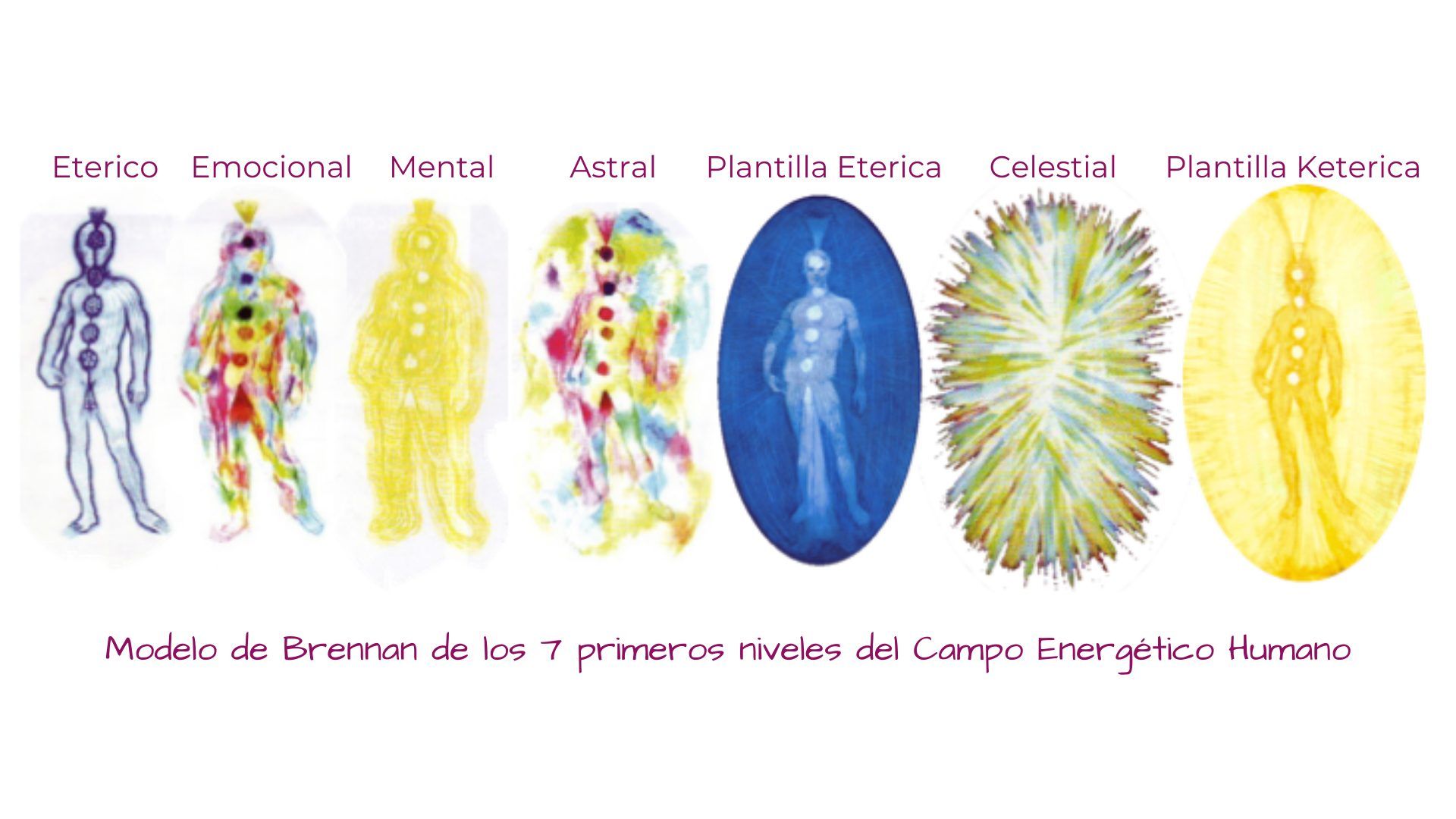 7 niveles campo energético humano