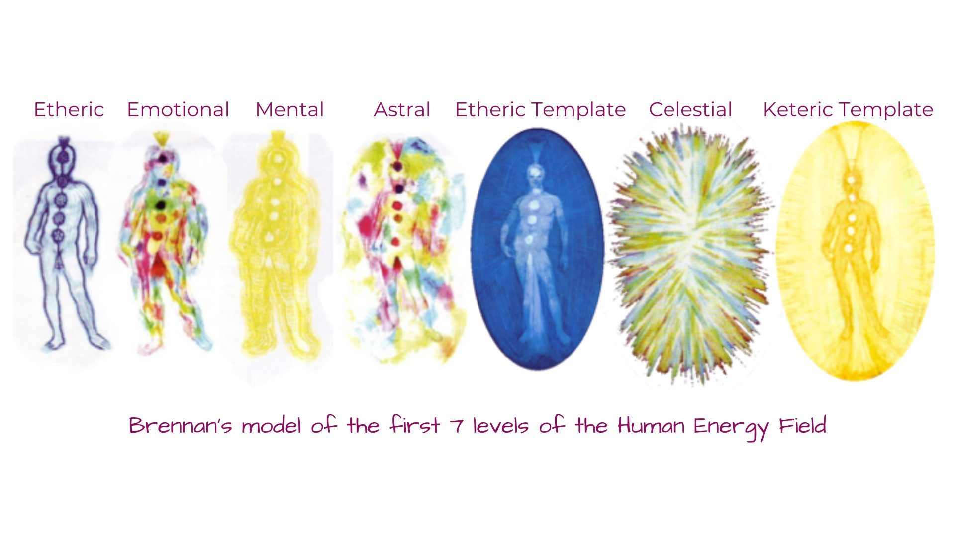 7 niveles campo energético humano