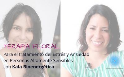 TERAPIA FLORAL: Tratamiento del Estrés y Ansiedad en Personas Altamente Sensibles