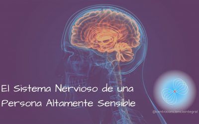 El Sistema Nervioso de una Persona Altamente Sensible